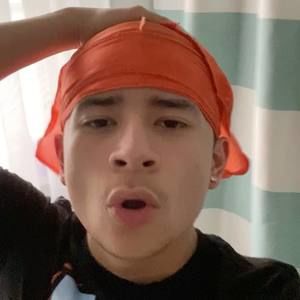 Meet your Posher, Harold